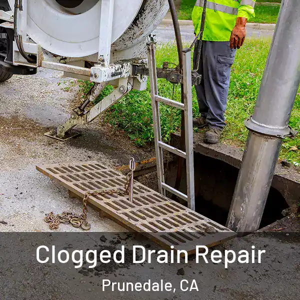  Clogged Drain Repair Prunedale, CA