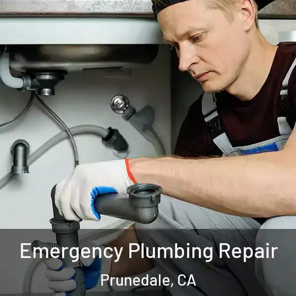  Emergency Plumbing Repair Prunedale, CA