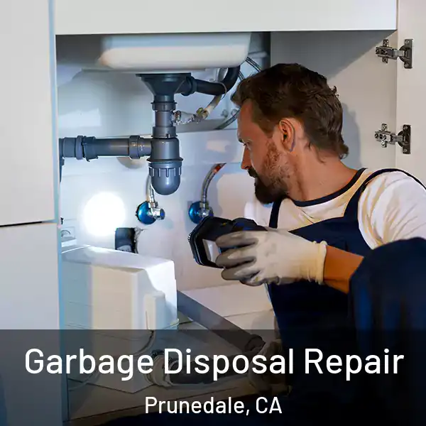  Garbage Disposal Repair Prunedale, CA