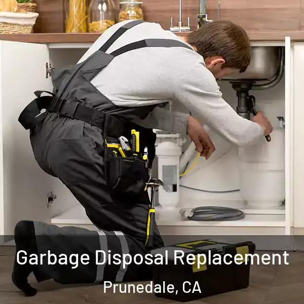  Garbage Disposal Replacement Prunedale, CA