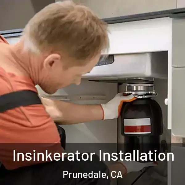  Insinkerator Installation Prunedale, CA