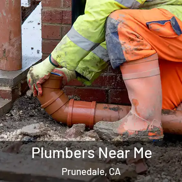  Plumbers Near Me Prunedale, CA