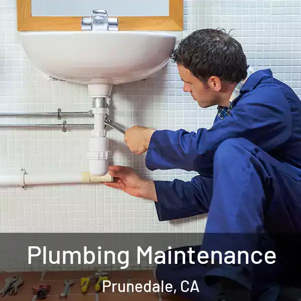  Plumbing Maintenance Prunedale, CA