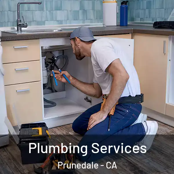  Plumbing Services Prunedale - CA