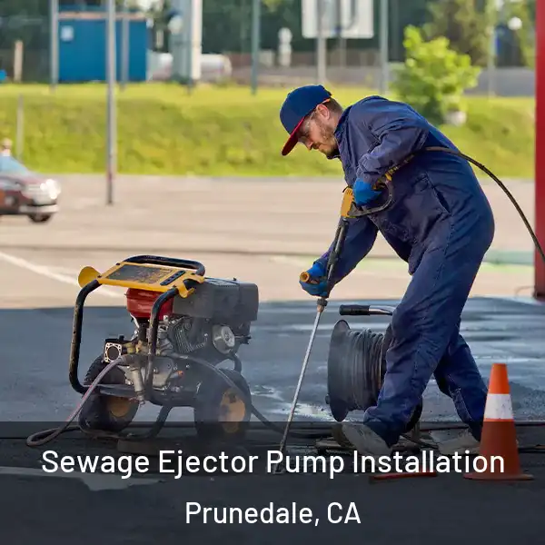 Sewage Ejector Pump Installation Prunedale, CA
