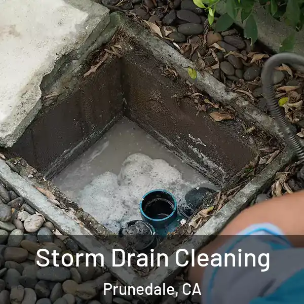 Storm Drain Cleaning Prunedale, CA