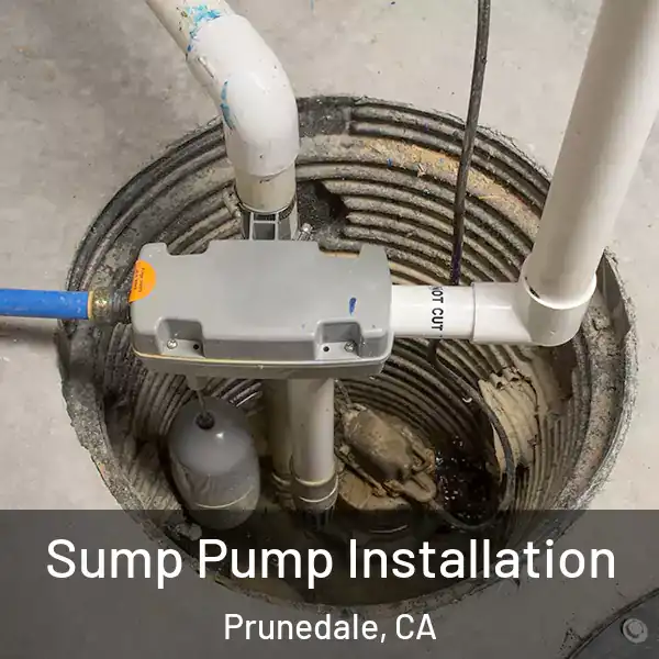 Sump Pump Installation Prunedale, CA