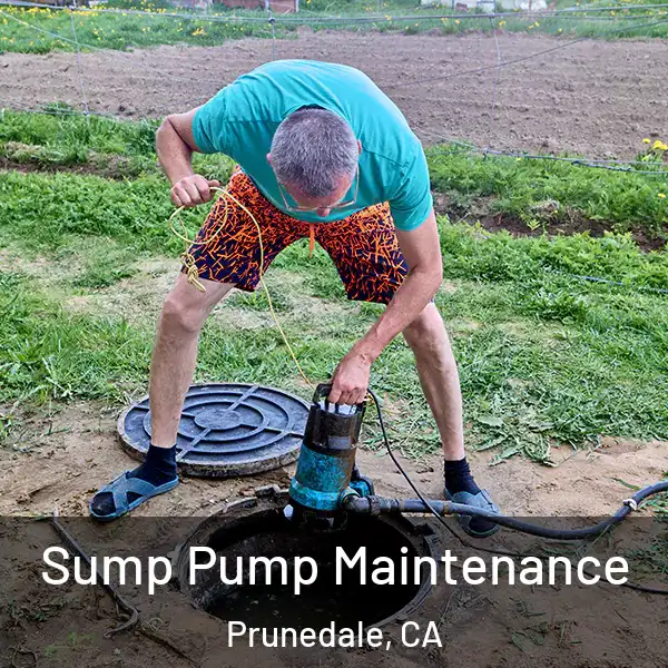  Sump Pump Maintenance Prunedale, CA