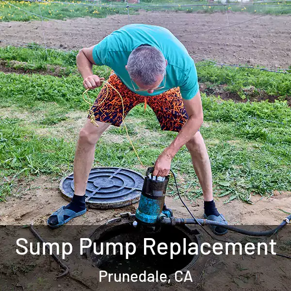  Sump Pump Replacement Prunedale, CA
