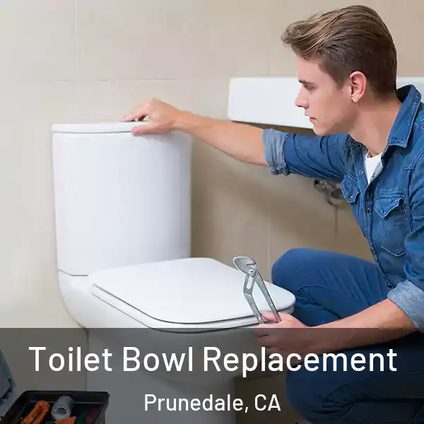  Toilet Bowl Replacement Prunedale, CA