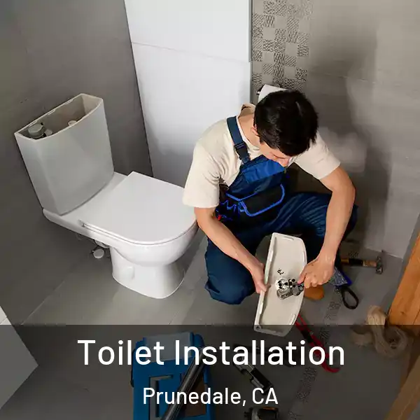  Toilet Installation Prunedale, CA