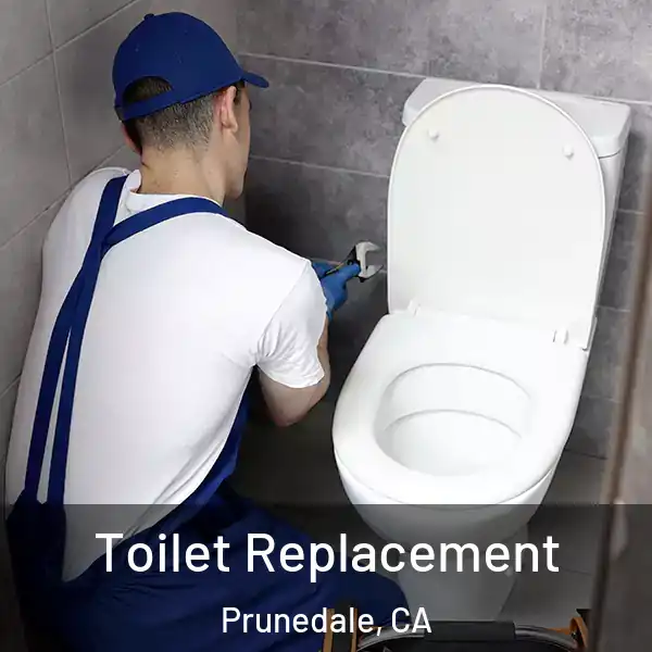  Toilet Replacement Prunedale, CA