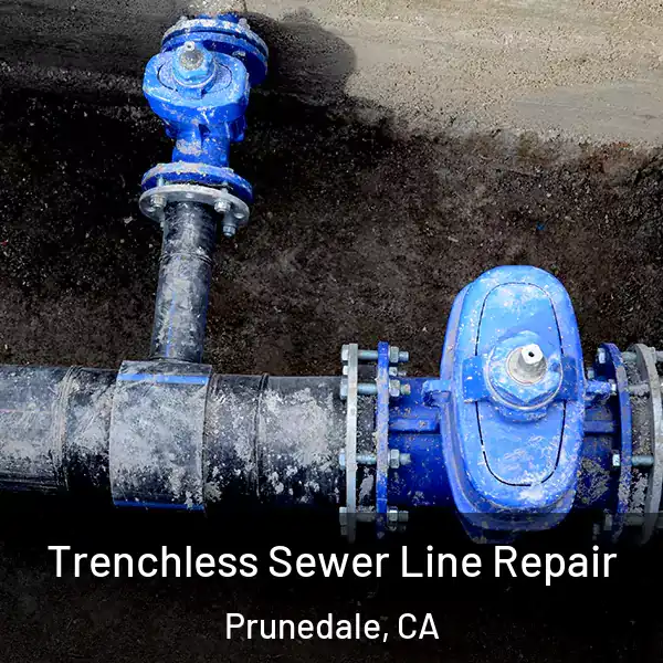  Trenchless Sewer Line Repair Prunedale, CA