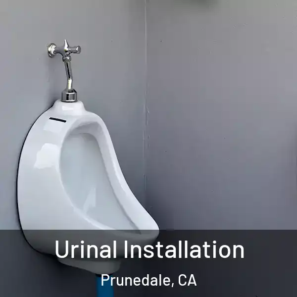  Urinal Installation Prunedale, CA